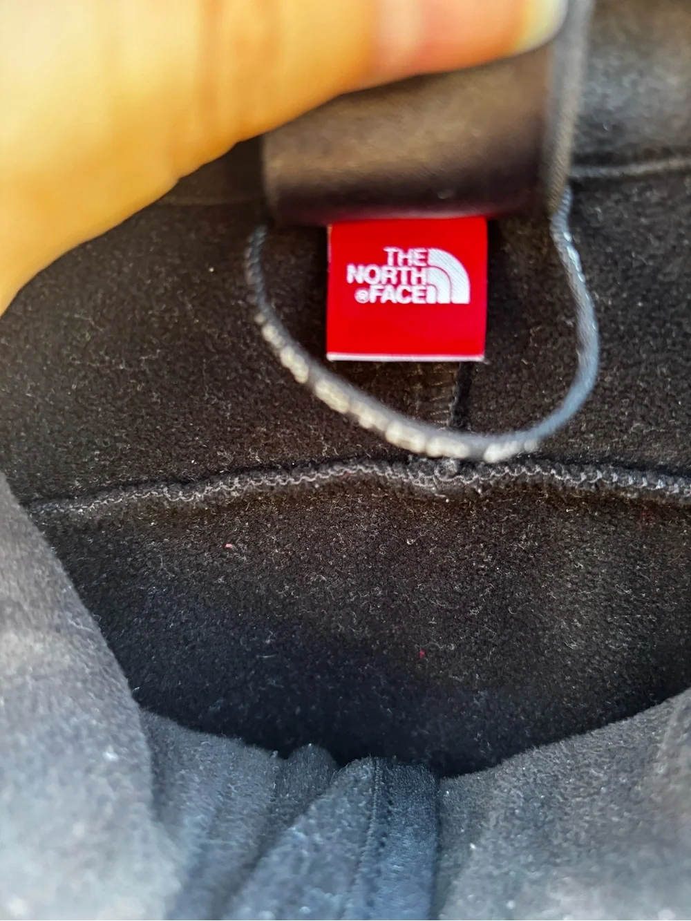 The North Face Men's Softshell Jacket Trans Antarctica 1990 Expedition APEX